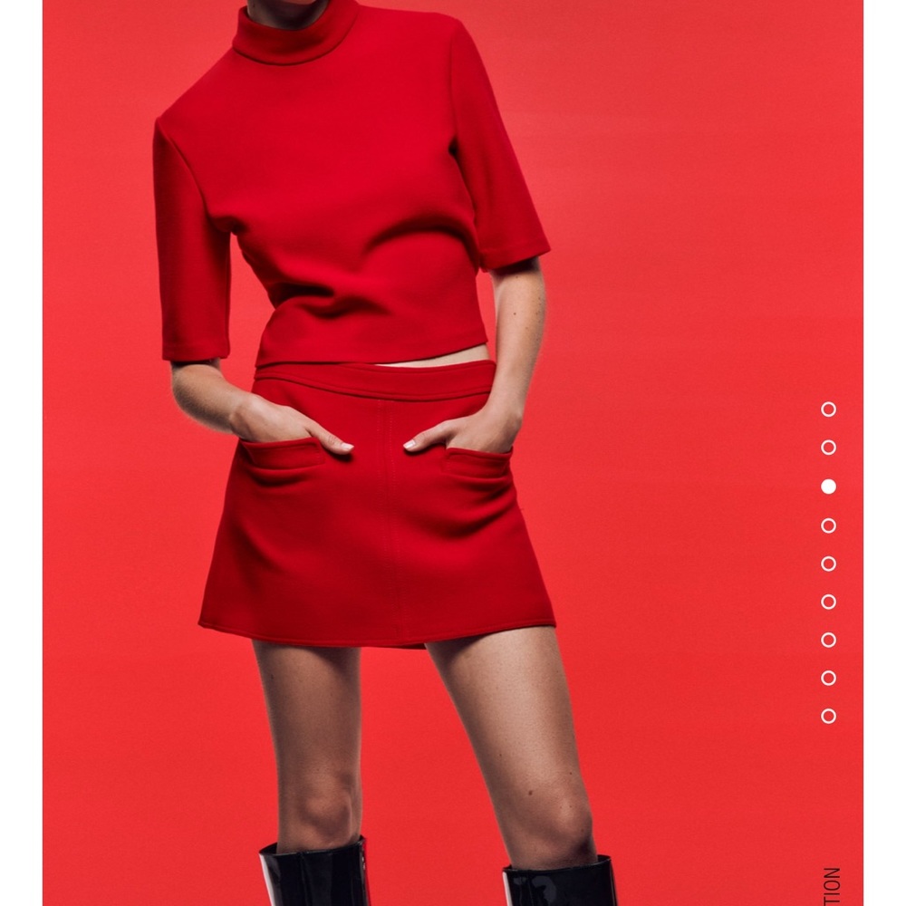 Zara Mini Skirt NWT